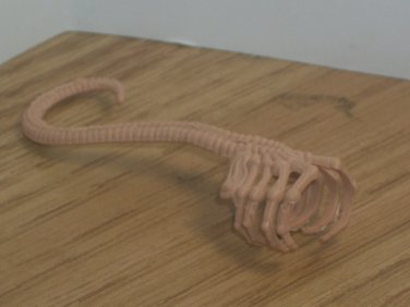 Parasite 2