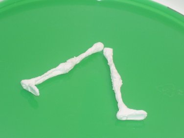 bone legs