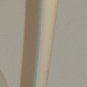 XXXL figure cane