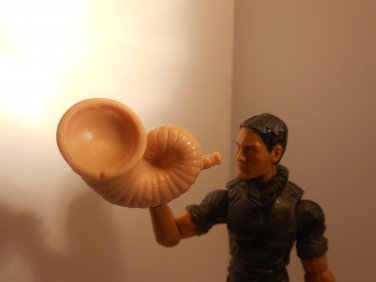 Sea King's horn