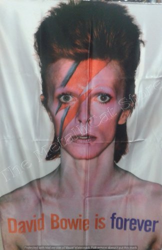 DAVID BOWIE Aladdin Sane FLAG CLOTH POSTER WALL TAPESTRY BANNER CD GLAM ROCK