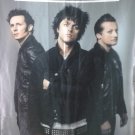 GREEN DAY American Idiot FLAG CLOTH POSTER WALL TAPESTRY BANNER CD