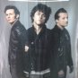 GREEN DAY American Idiot FLAG CLOTH POSTER WALL TAPESTRY BANNER CD