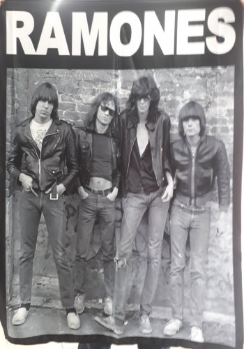 wall hanging  tropical decor Ramones punk rock band tapestry cloth poster