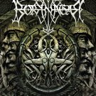 BORKNAGAR Urd FLAG CLOTH POSTER WALL TAPESTRY BANNER CD FOLK VIKING METAL