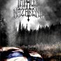 IMPALED NAZARENE Pro Patria Finlandia FLAG CLOTH POSTER TAPESTRY BANNER CD DEATH METAL