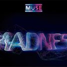 MUSE Madness FLAG CLOTH POSTER WALL TAPESTRY CD Progressive Art Rock