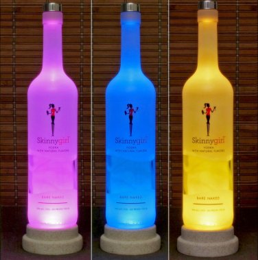 Grey Goose Vodka Color Changing Remote Control lamp Bottle Lamp