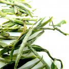 Huangshan Mao Feng Tea  有機黃山毛皮山頂
