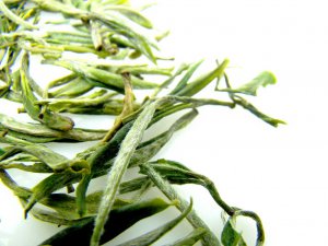 Huangshan Mao Feng Tea  &aelig;��&aelig;&copy;�&eacute;&raquo;�&aring;&plusmn;&plusmn;&aelig;&macr;�&ccedil;�&reg;&aring;&plusmn;&plusmn;&eacute;&nbsp;�