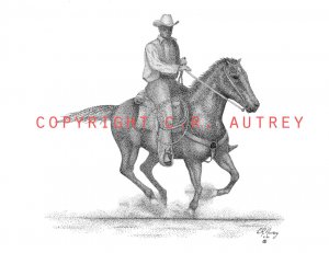 Texas Cowboy