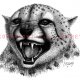 Wildlife Animals