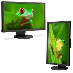 NEC Display
