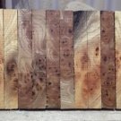 10 x woodturning irish wych elm pen blanks