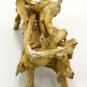 Lovely Mid Century Modern Driftwood Coffee Table Base