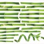 Bamboo Wall Decals - Removable Art Stickers Room Decor