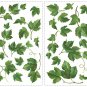 Evergreen Ivy Wall Decals - Removable Art Stickers Room Decor