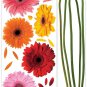 Gerber Daisies Wall Decals - Removable Art Stickers Room Decor
