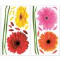 Small Gerber Daisies Wall Decals - Removable Art Stickers Room Decor
