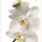 White Orchid Wall Decals - Removable Art Stickers Room Decor