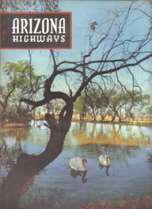 1955 ARIZONA HWYS Magazine NOVEMBER Issue