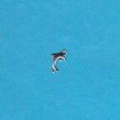 Dolphin Charm