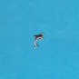 Dolphin Charm
