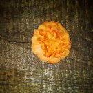 Lapel Pin Flower Orange