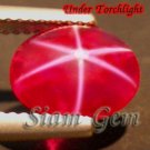 3.2ct. INTENSE BLOOD RED 6 RAY STAR RUBY OVAL DIFFUSION