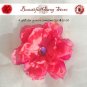 Twenty dollar gift certificate