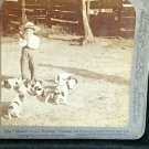 Vintage Stereoscope Card Little Boy Hunter w Puppies "Master of His Hounds"