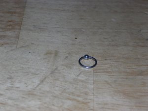 18G Captive hoop 48