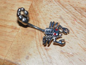 Scorpion in Red Navel 397