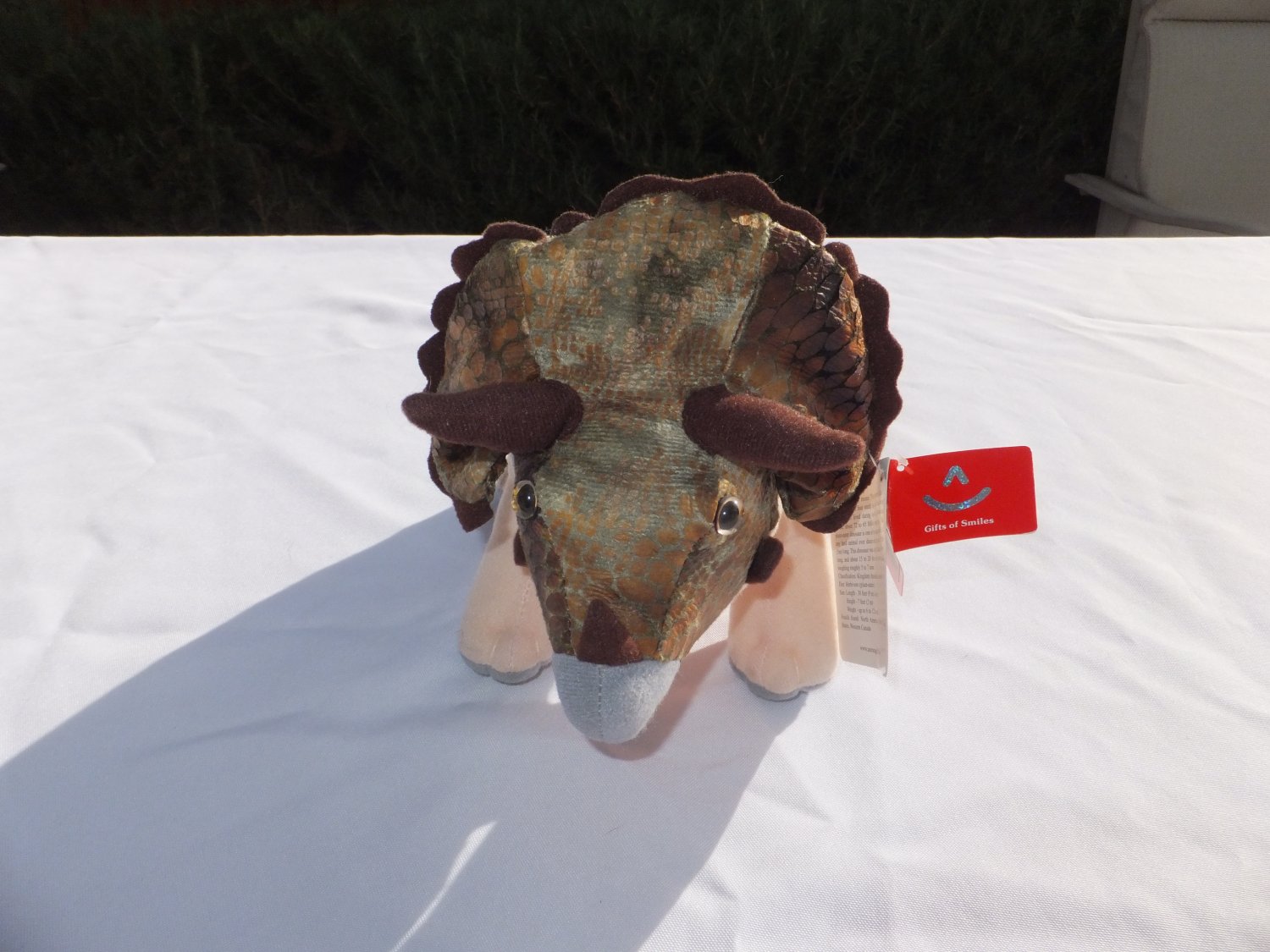 aurora triceratops