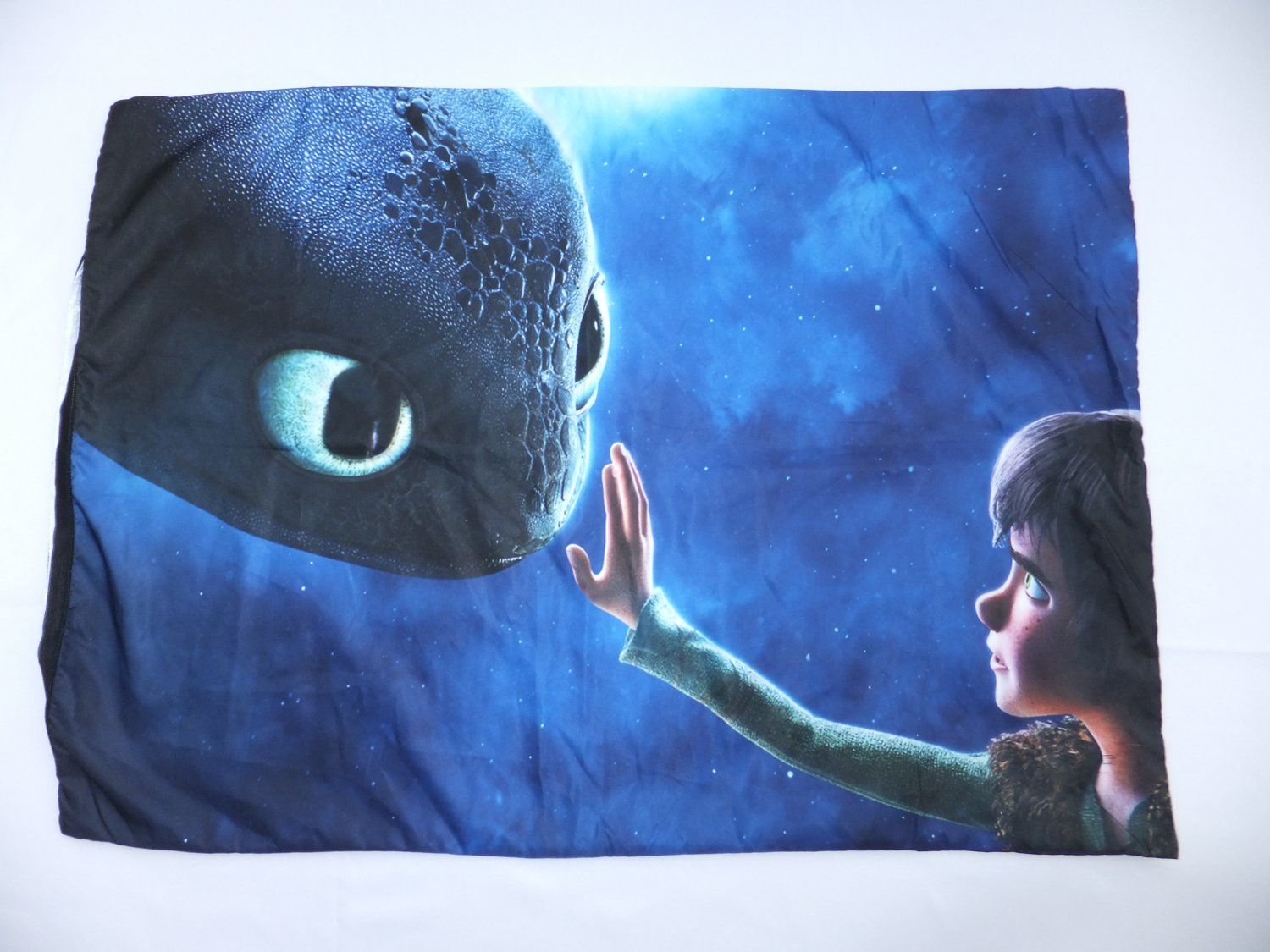 toothless pillow case