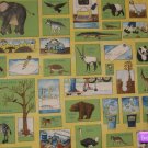 Winky Wheeler - Circle of Life Collection Quilt Fabric