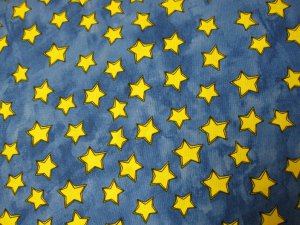 Tara Reed - Tara's Brights Collection Quilt Fabric