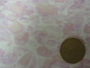 Red Rooster - Skylark Collection Quilt Fabric