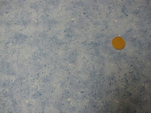 Tara Reed - Spatter Collection Quilt Fabric