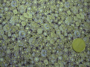 Robert Kaufman - Imperial Fusions Kyoto Quilt Fabric