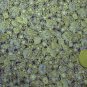 Robert Kaufman - Imperial Fusions Kyoto Quilt Fabric