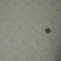 Henry Glass & Co., Inc. - Buggy Barn Basics Quilt Fabric