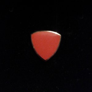 Pledge Pin