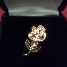 Brother of the Year Pin