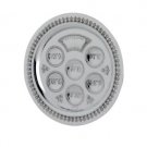 Hazorfim Passover Seder Plate in Filigree Design