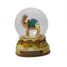 Waterglobe with Camel