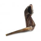 47-55 cm Ram’s horn shofar for Rosh Hashanah
