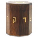 11cm Tzedakah box with gold Hebrew inscription