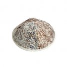White Cloth Kippah with Brown Spots and White Rim