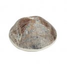 Kippah Striped in Brown and White